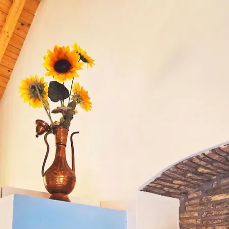 5 Mins From And 1 Min From Center One アパート *